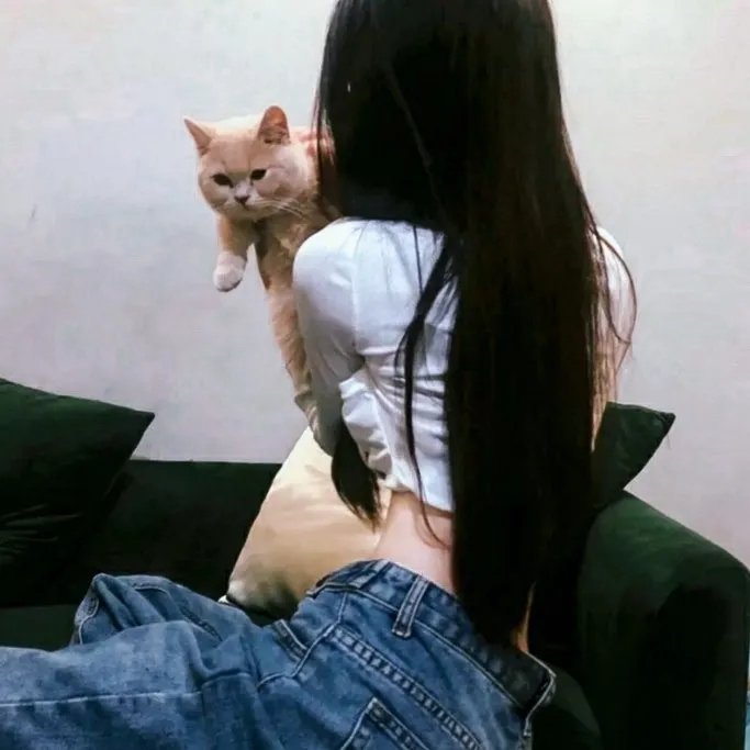 玩命光头