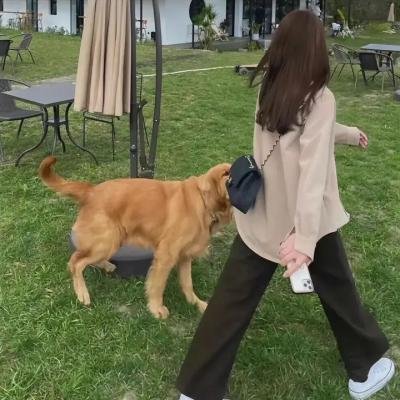 云端之上